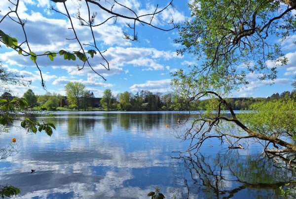 Stadtparksee Norderstedt