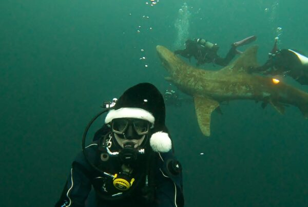 Weihnachtstauchen 2025 in Hemmoor