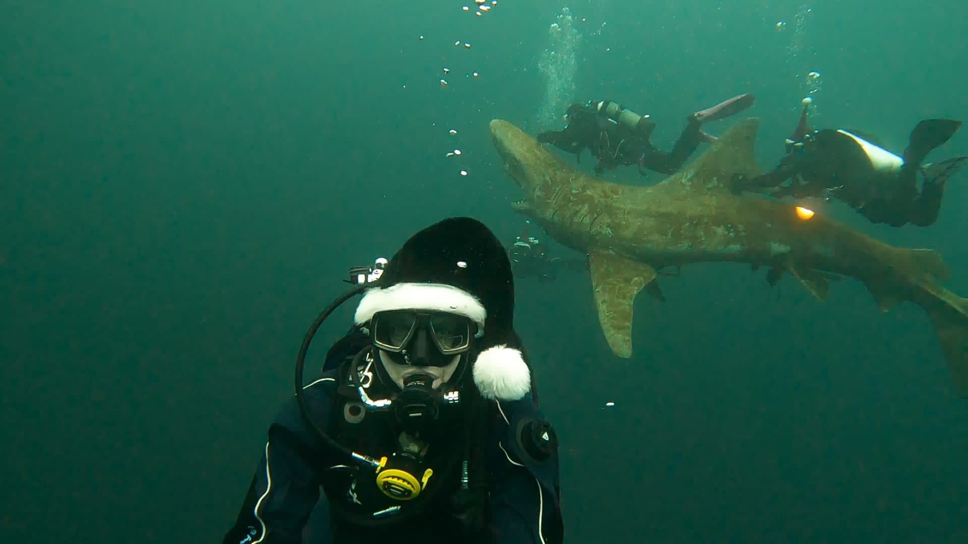 Weihnachtstauchen 2025 in Hemmoor