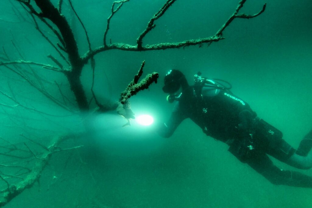 SK Süßwasserbiologie Schweriner See